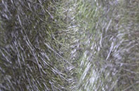 Bartley fibreglass roof work